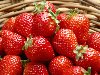 , strawberry texture,  , ,   
