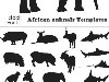   -      African animals ...