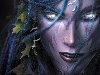 Warcraft 3 Reign of Chaos - 3.jpg -    . :