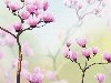 Backgrounds with painted flowers 3 |     3 15 JPEG ...