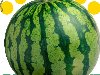  PNG,  , , Watermelon PNG, no background, food