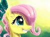 :       (My Little Pony: Friendship is ...