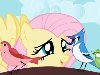  -   / 1  / My Little Pony: Friendship Is Magic (2010) ...