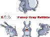    . Funny Gray Rabbits Vector