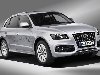Audi Q5.  Q5     2009 ,    ...