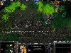 Warcraft III: Reign of Chaos  