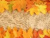  ,  , , autumn leaves textures, background, 