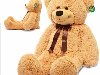    Teddy Bear   ( 80  200 ) -  - ...