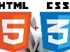 HTML        , ...