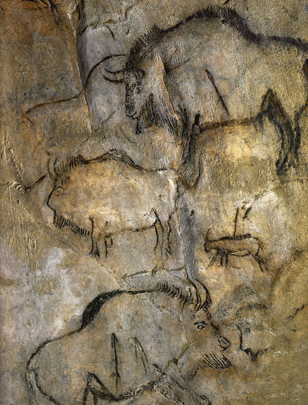 Первобытное изображение человека. Пещера НИО Наскальная живопись. Бизон пещера НИО. Первобытное искусство пещера Ласко. Пещера НИО наскальные рисунки.