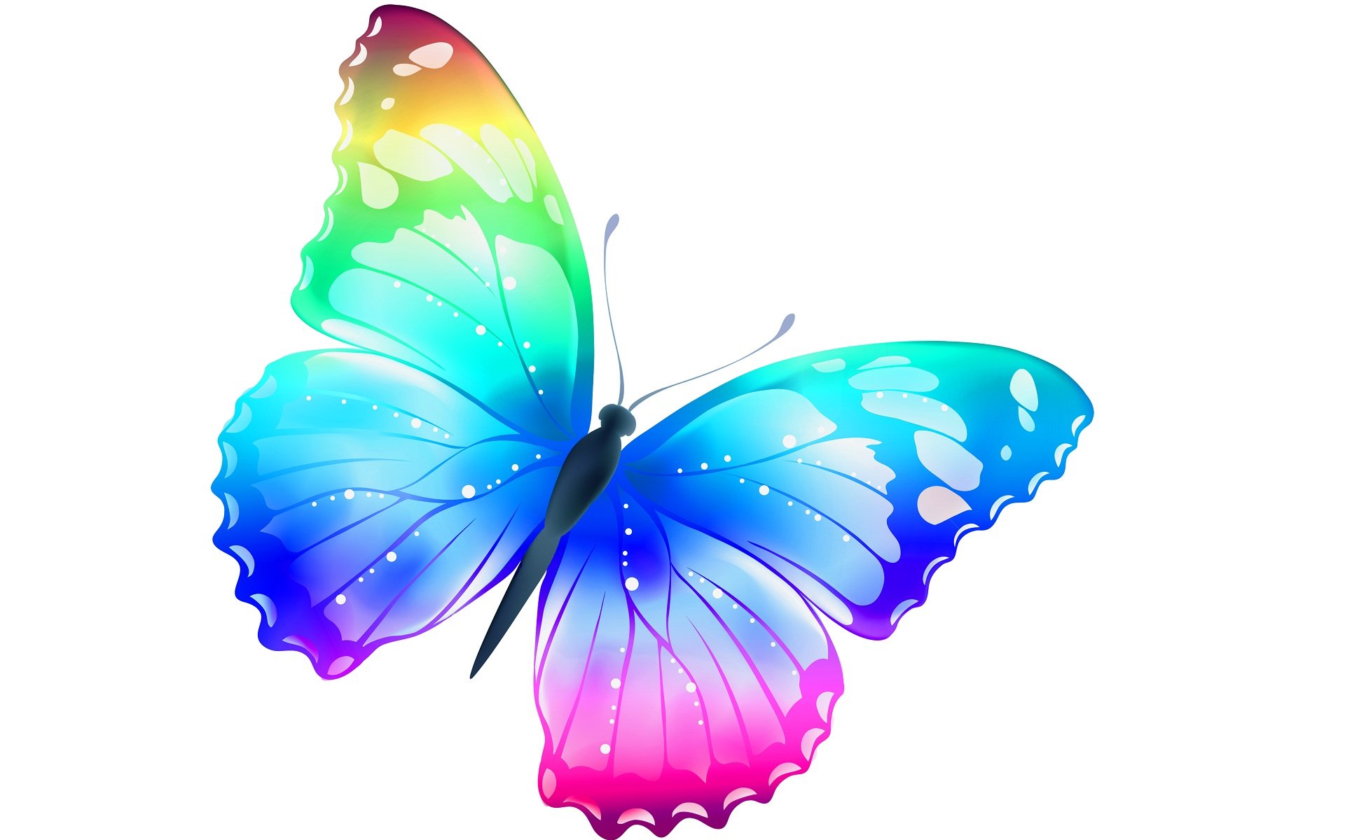 Картинка бабочка на цветке на прозрачном фоне