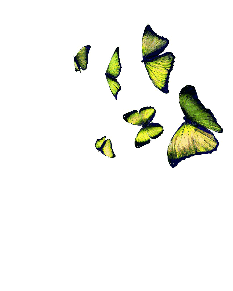 Гиф картинки пнг. Летающие бабочки на прозрачном фоне. Анимационные бабочки на прозрачном фоне. Анимированные бабочки на прозрачном фоне. Бабочки анимация на прозрачном фоне.
