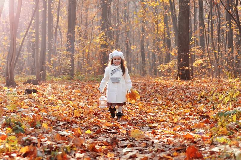 Гуляла девочка в лесу. Осенняя прогулка. Прогулка в осеннем лесу. Осенний лес для детей. Прогулка осенью.