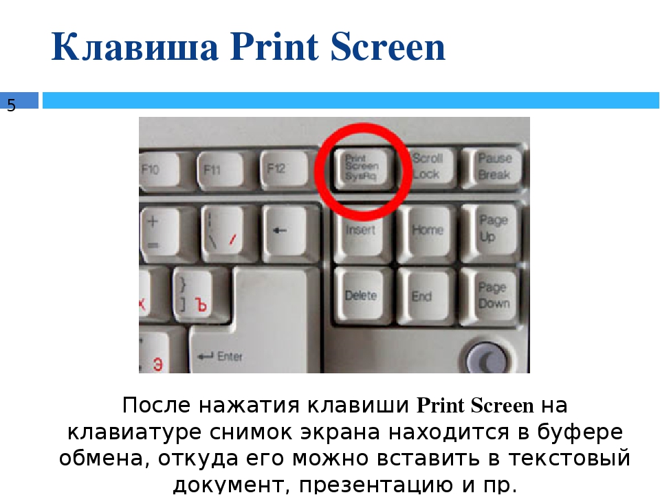 Скриншот на компьютере какие клавиши. Кнопка скриншота на клавиатуре компьютера. Клавиша Print Screen. Кнопки принтскрин на компьютере. Какие клавиши нужно нажать.