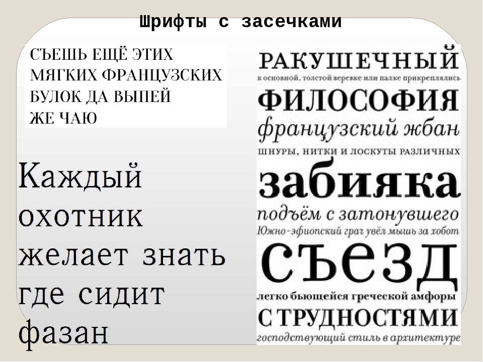 Основные шрифты. Шрифт с засечками. Тонкий шрифт с засечками. Шрифт с круглыми засечками. Шрифт без засечек.