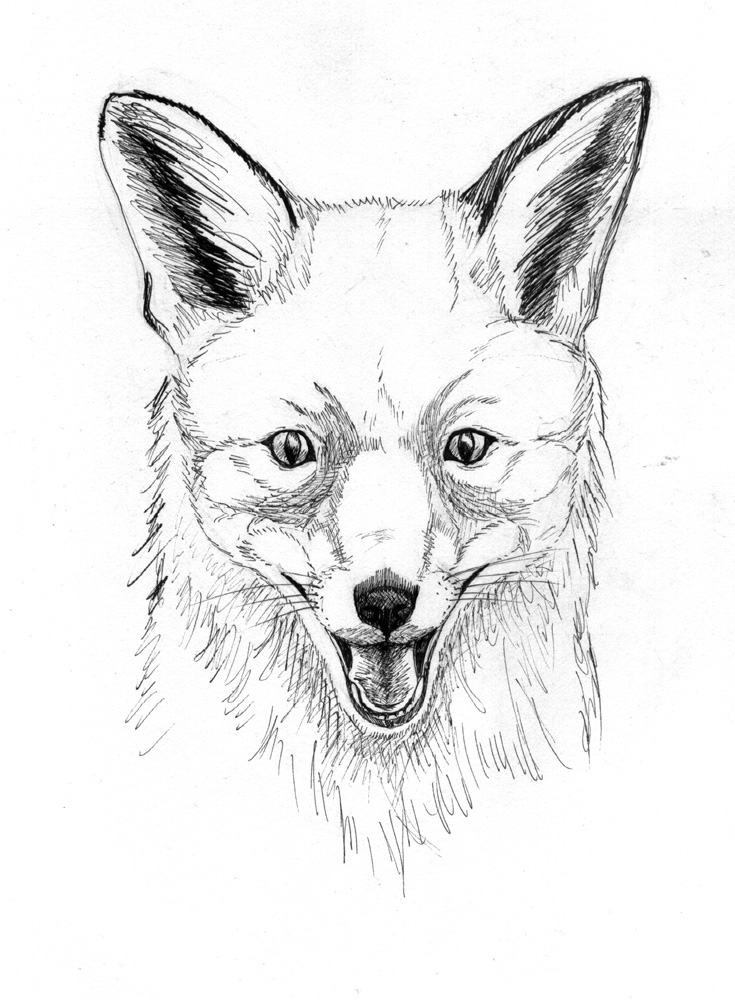 Рисуем морду волка