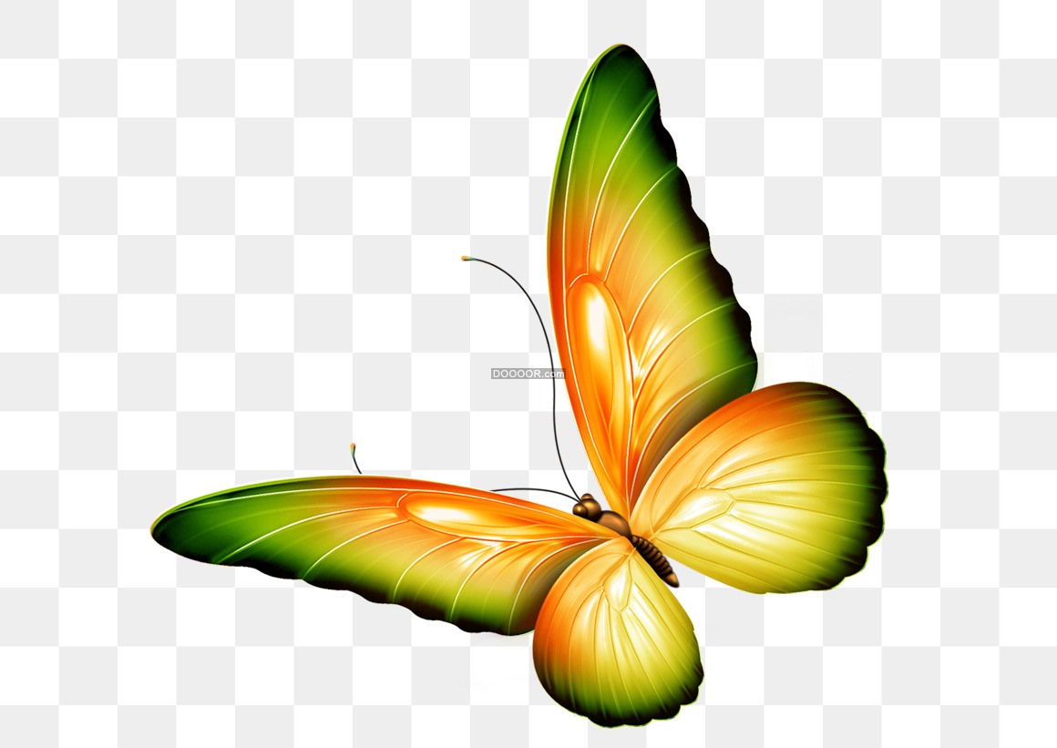 Сказочные бабочки на прозрачном фоне