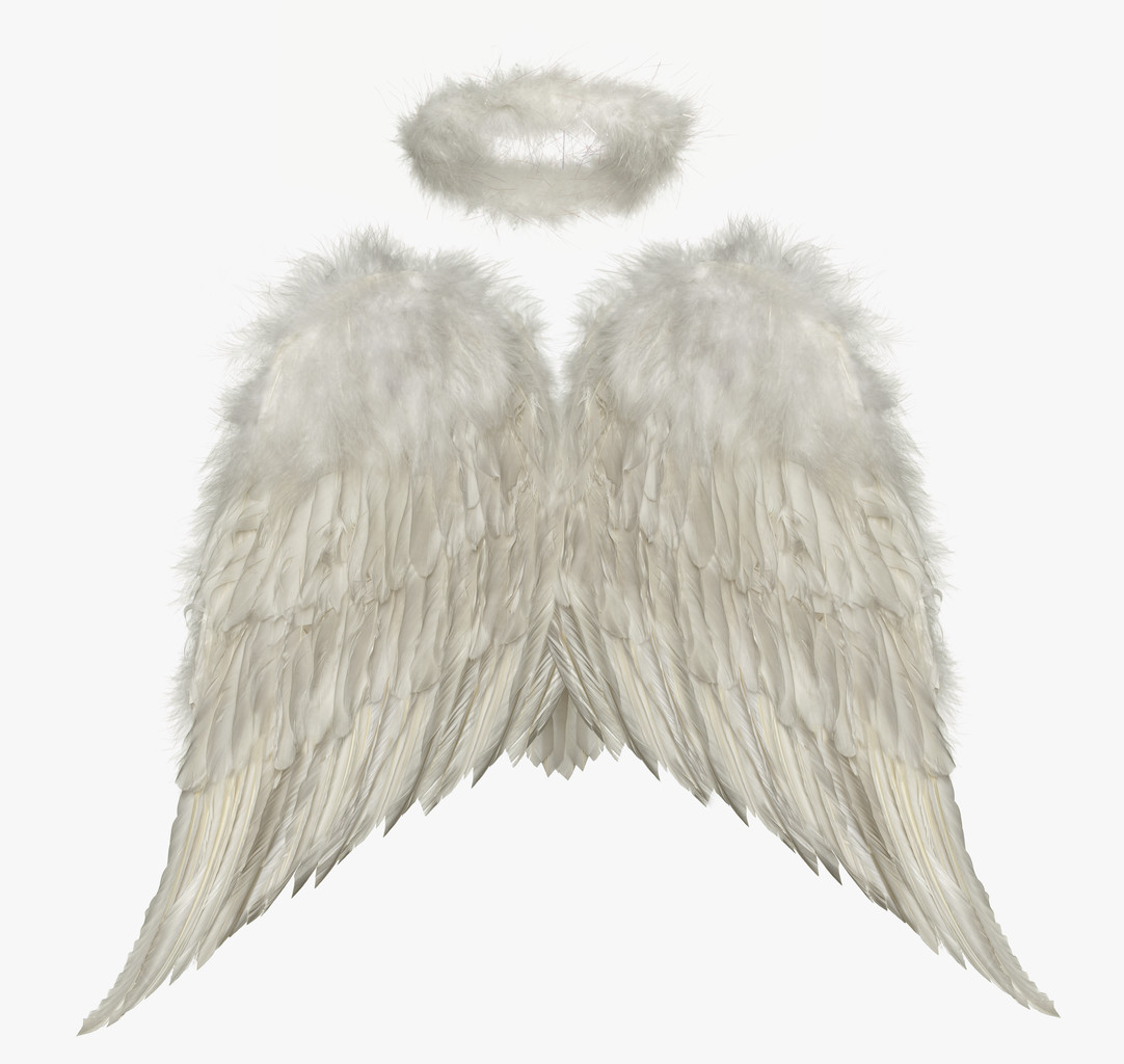 Черные крылья ангела на прозрачном фоне