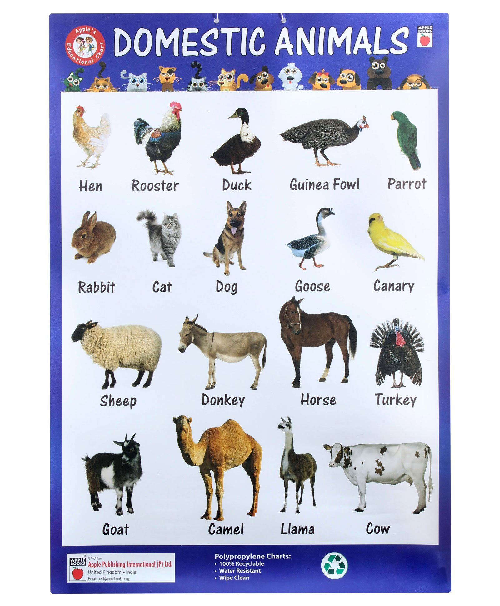 Англ яз домашние животные. Домашние животные на английском. Животный на английском языке. Названия животных на англ. Названия домашних животных на английском языке.
