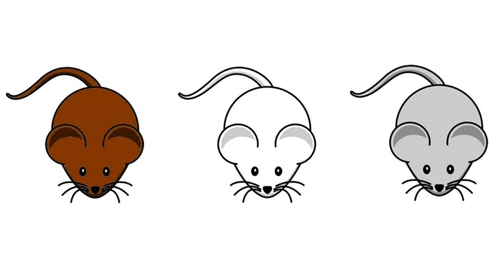 Three mice. Мышь рисунок. Мышь рисунок для детей. Мышка мультяшная. Мышка картинка для детей.