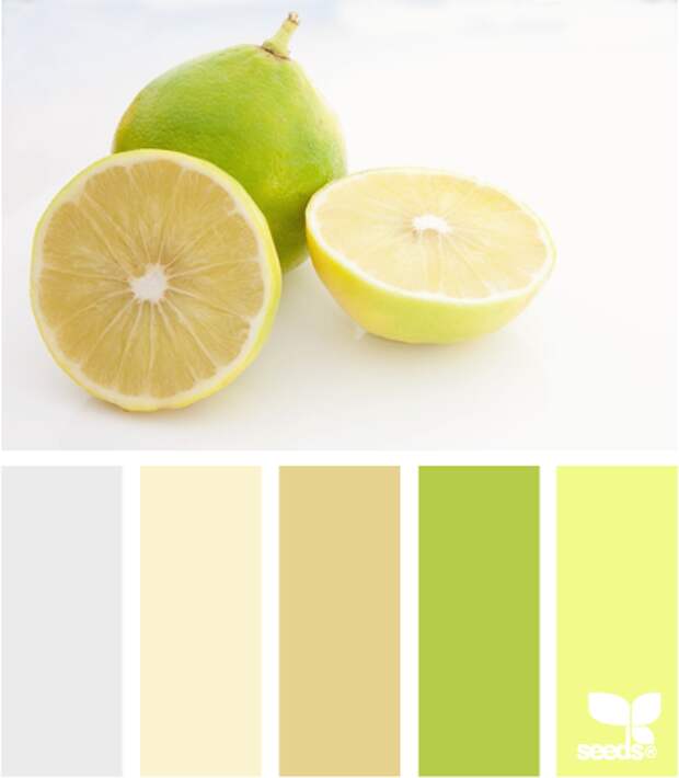 Обои лимонного цвета фото