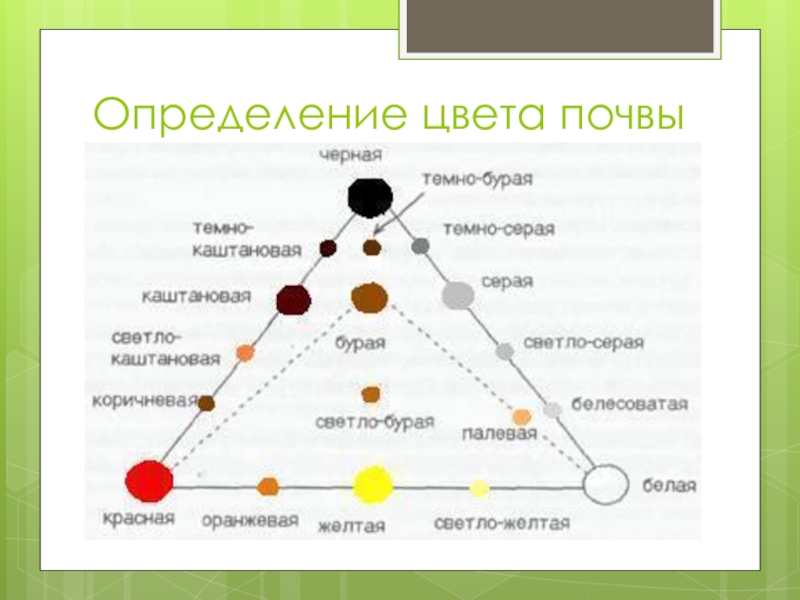 Определение цвета. Окраска почвы треугольник Захарова. Окраска цвет почвы треугольник Захарова. Как определить цвет почвы. Определение цвета почвы.