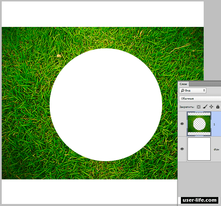 Вырезать круг из фото. Вырезать фотографию кругом. Окружность для фотошопа. Вырезанный круг для фотошопа. Вырезки кружков для фотошопа.