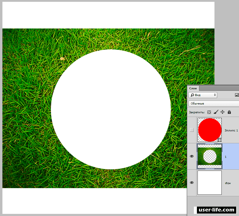 Вырезать фотографию кругом. Окружность для фотошопа. Вырезанный круг для фотошопа. Вырезки кружков для фотошопа.