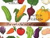 Овощи в векторе - капуста, картофель, кукуруза, помидоры, свекла, морковь, ...