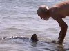 Пожилой турист оттащил акулу от детей на австралийском пляже