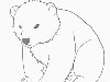 Сейчас мы рассмотрим, как нарисовать медвежонка белого медведя карандашом ...