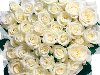 Белые розы фото ИНТЕРЕСНАЯ ИНФОРАЦИЯ