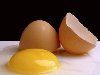 Требования, предъявляемые к качеству яиц. Стандартное куриное яйцо имеет ...