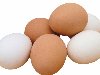 Яйцо куриное 1 категории Покупка и продажа Яйца оптом и в розницу в Москва ...