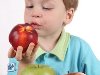 Даже первый прикорм детям рекомендуют начинать с яблока, яблочного сока, ...
