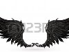 Крылья черные Фото со стока - 13777246. Крылья черные