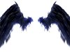За его спиной красовались иссиня-чёрные крылья. image