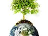 ... в васu0026quot; прошел Всемирный день окружающей среды. экология планеты