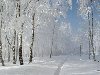 Справжню зиму у вітчизняному Гідрометцентрі обіцяють у другій половині січня ...