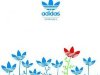 Adidas - картинка на телефон №429737