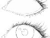 Карандашом 2В нарисуйте радужную оболочку глаза.