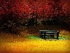 Осень. Ностальгия по осени – 2. | Фотоновости: Большие Картинки.ру