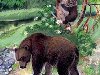 Бурый медведь медведица и медвежата. Она учит косолапых отыскивать на земле, ...