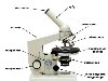 Микроскопом называется прибор с определенным расположением линз в нем, ...