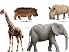 млекопитающие животные Млекопитающие – это группа животных , основной ...