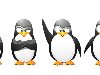 Мультяшные пингвины | Записи в рубрике Мультяшные пингвины | Пингвинов в ...
