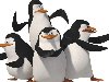 Пингвины, дружные ребята из мультика «Мадагаскар» очень себе на уме. ...