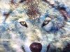 3D Wolves wallpaper