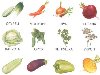 Вам потребуются: карточки с изображением овощей, знакомых ребенку (морковь, ...