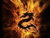 Огненный дракон обои и картинки на рабочий стол / 373